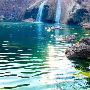 Meet your Posher, Tasha